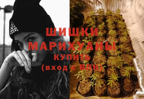 ECSTASY Белокуриха