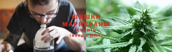 ПСИЛОЦИБИНОВЫЕ ГРИБЫ Беломорск