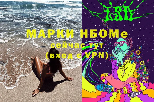 ECSTASY Белокуриха