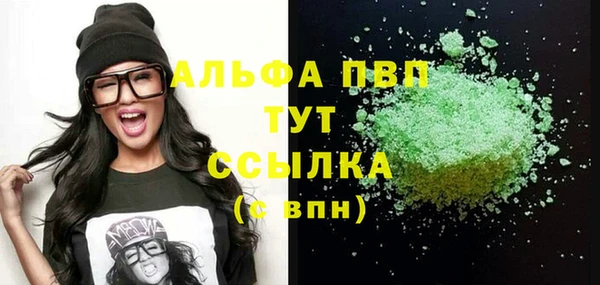 ECSTASY Белокуриха